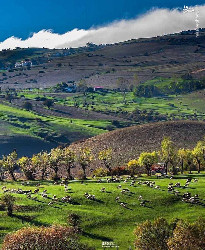 طبیعت چشم نواز دیلمان +عکس