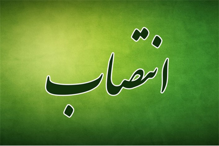 داود خانی سرپرست سازمان خصوصی سازی شد