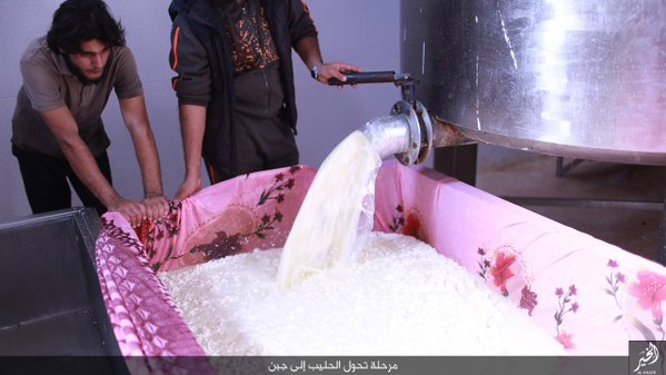 کارخانه لبنیات داعش هم راه افتاد +عکس