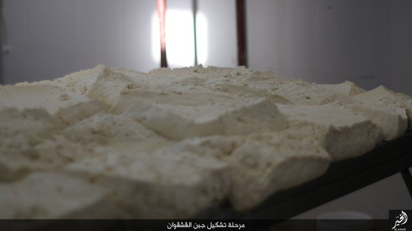 کارخانه لبنیات داعش هم راه افتاد +عکس