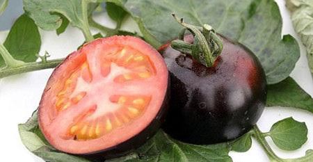 پرورش گوجه فرنگی به رنگ سیاه +عکس پرورش گوجه فرنگی به رنگ سیاه +عکس