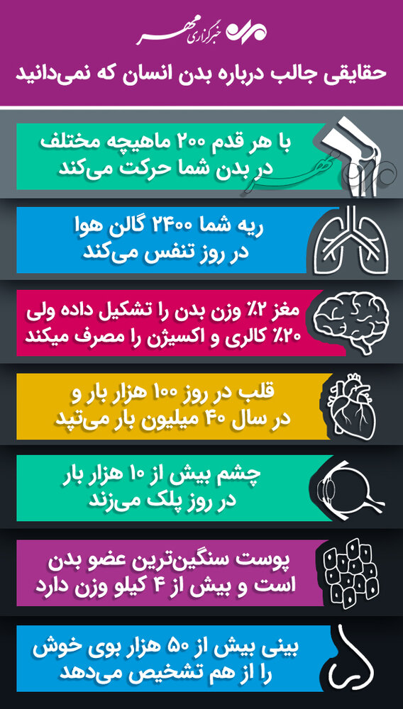حقایقی باورنکردنی از بدنتان که از آن بی اطلاعید! /اینفوگرافی