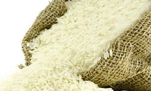 برنج در بورس کالا عرضه شود
