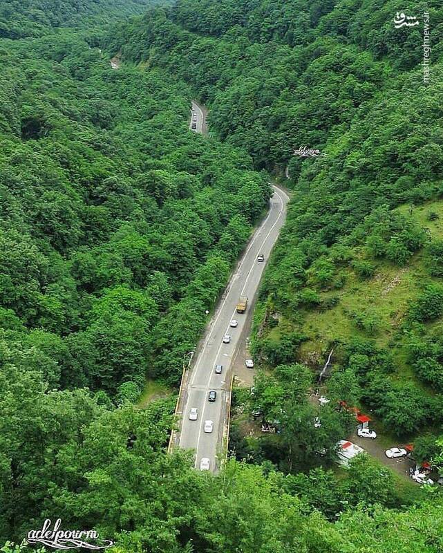 نمایی تماشایی از جاده سرسبز حیران +عکس