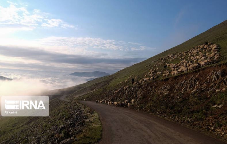 طبیعت زیبای ییلاق «سوچاله» به روایت تصویر طبیعت زیبای ییلاق «سوچاله» به روایت تصویر