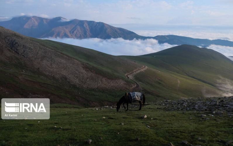 طبیعت زیبای ییلاق «سوچاله» به روایت تصویر طبیعت زیبای ییلاق «سوچاله» به روایت تصویر