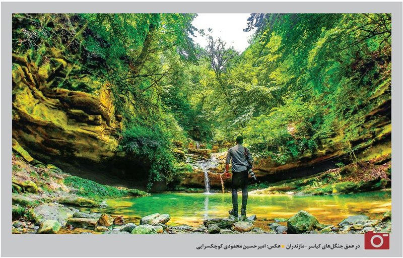 تصویری خارق العاده از جنگل کیاسر