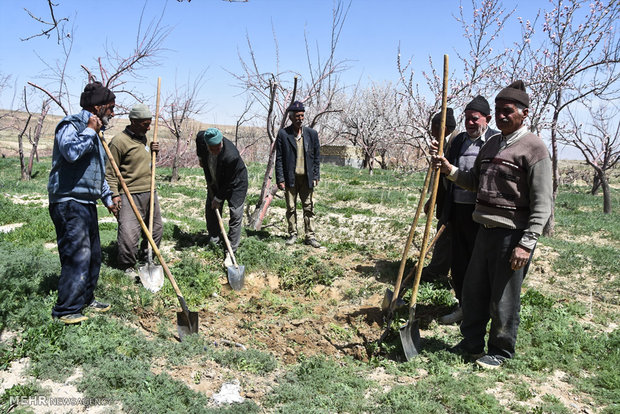 کسی بدون شغل و درآمد در روستا نمی‌ماند/دولت بیش از هزار میلیارد تومان به صندوق بیمه روستایی بدهکار است