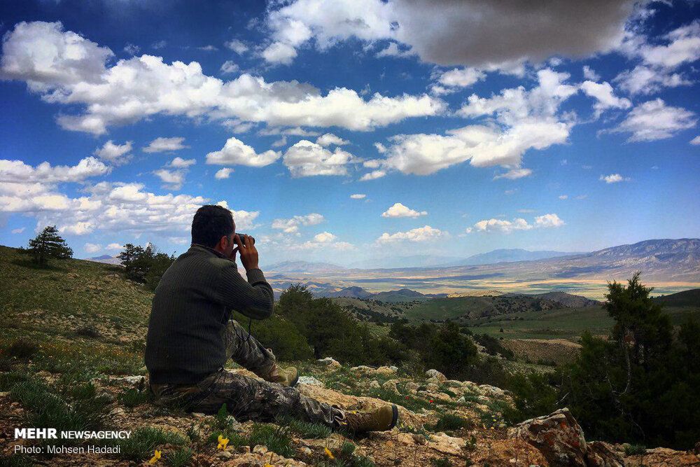 طبیعت بکر پارک ملی از نگاه محیط بان گلستانی +تصاویر طبیعت بکر پارک ملی از نگاه محیط بان گلستانی +تصاویر