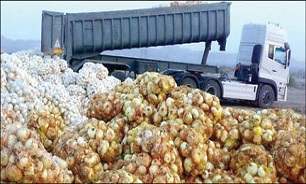 تراژدی هدر رفت محصولات باغی ادامه دارد