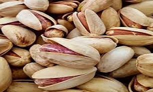 داد و ستد ۳.۸ تن پسته در نخستین روز عرضه در بورس کالا