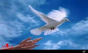 نجات زندانی 61 ساله از چوبه دار