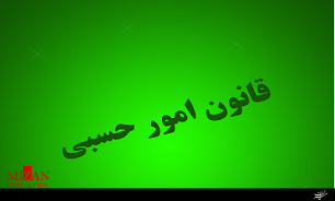 امور حسبی چیست؟ امور حسبی چیست؟