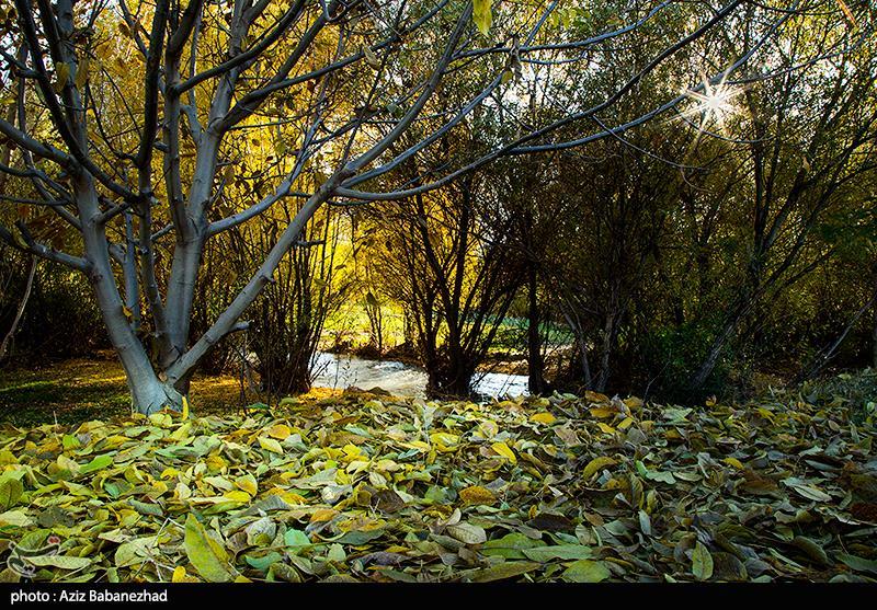 تصاویری از طبیعت زیبای پاییزی شهر الشتر تصاویری از طبیعت زیبای پاییزی شهر الشتر