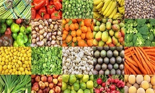 صادرات بخش کشاورزی و غذا به ۳ میلیارد دلار رسید