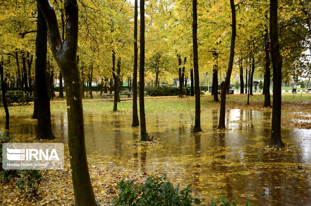 حال و هوای زیبای پاییزی در رشت +تصاویر