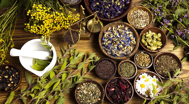 عوارض استفاده خودسرانه از گیاهان دارویی عوارض استفاده خودسرانه از گیاهان دارویی