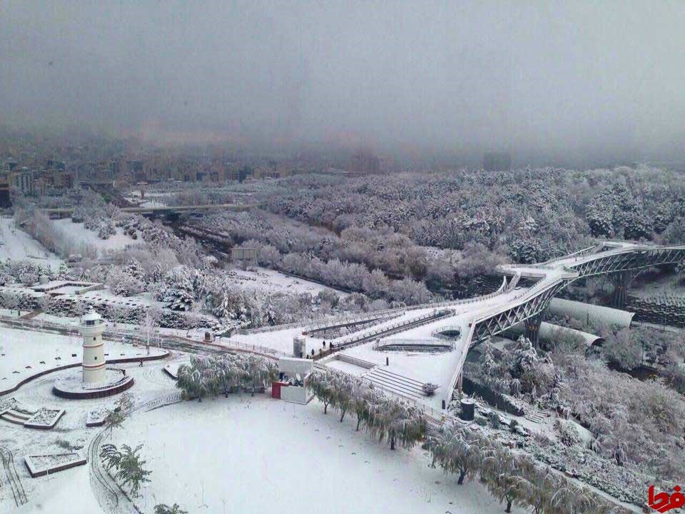 کشت ماریجوانا در گلدانهای خانگی/بازار سیاه ماسک بهداشتی در کرمان/باور کنیم اینجا تهران است؟/عکس کشت ماریجوانا در گلدانهای خانگی/بازار سیاه ماسک بهداشتی در کرمان/باور کنیم اینجا تهران است؟/عکس