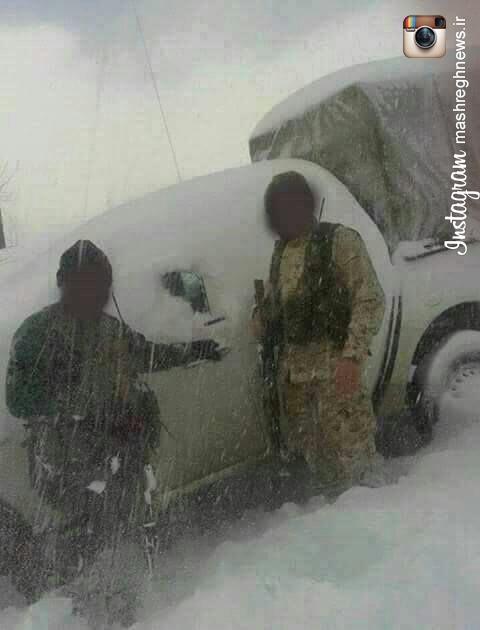 کشت ماریجوانا در گلدانهای خانگی/بازار سیاه ماسک بهداشتی در کرمان/باور کنیم اینجا تهران است؟/عکس کشت ماریجوانا در گلدانهای خانگی/بازار سیاه ماسک بهداشتی در کرمان/باور کنیم اینجا تهران است؟/عکس