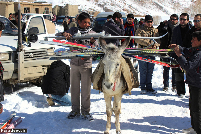 کشت ماریجوانا در گلدانهای خانگی/بازار سیاه ماسک بهداشتی در کرمان/باور کنیم اینجا تهران است؟/عکس کشت ماریجوانا در گلدانهای خانگی/بازار سیاه ماسک بهداشتی در کرمان/باور کنیم اینجا تهران است؟/عکس