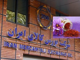 لزوم عرضه صادراتی زعفران در بورس کالا