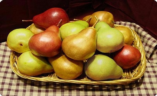 برای لاغر شدن گلابی بخورید + عکس برای لاغر شدن گلابی بخورید + عکس