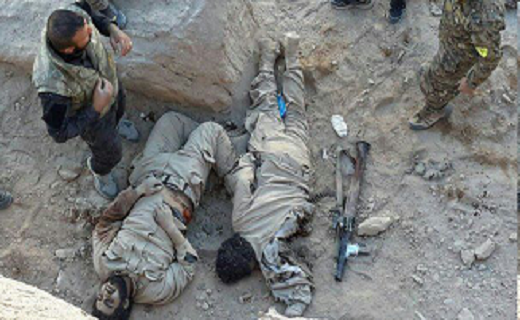 جنازه داعشی ها در منطقه الخان حلب + عکس