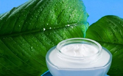 نحوه تهیه شیرپاککن طبیعی با خیار و نعناع + عکس نحوه تهیه شیرپاککن طبیعی با خیار و نعناع + عکس
