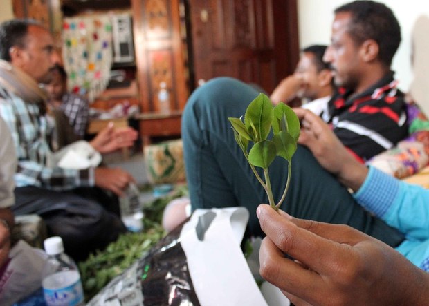خات، ماده مخدر جدیدی نیست/ نئشگی با ترکیب آدامس و شکلات
