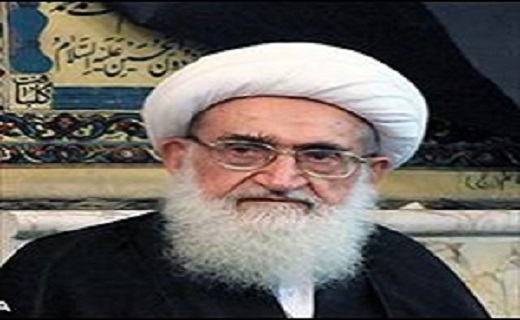 پیام آیت‌الله نوری در پی کشتار شیعیان نیجریه  + عکس