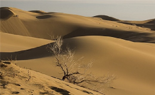 سفر به کویر مرنجاب آزاد شد + عکس