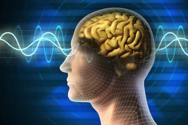 تسکین التهاب مغز راهی برای غلبه بر آلزایمر