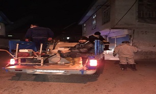 اقدامات جهادی دادگستری شهرستان آمل برای مقابله با کرونا/ تهیه ۳ هزار لیتر مواد ضدعفونی کننده برای کنترل کرونا