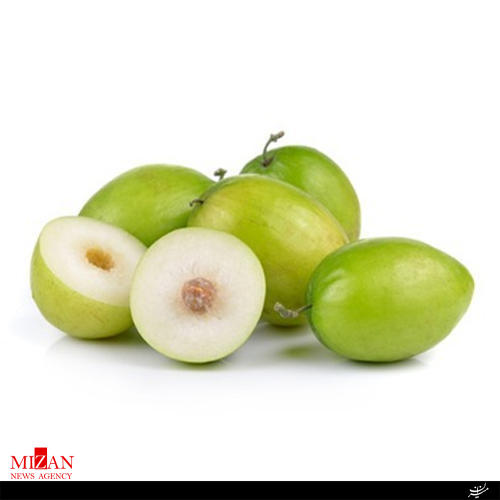 همه چیز را درباره میوه عناب
