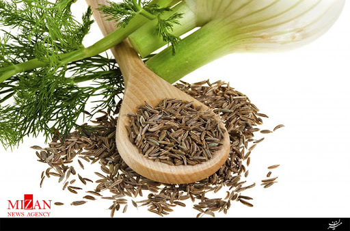 خواص دارویی و درمانی گیاه رازیانه خواص دارویی و درمانی گیاه رازیانه