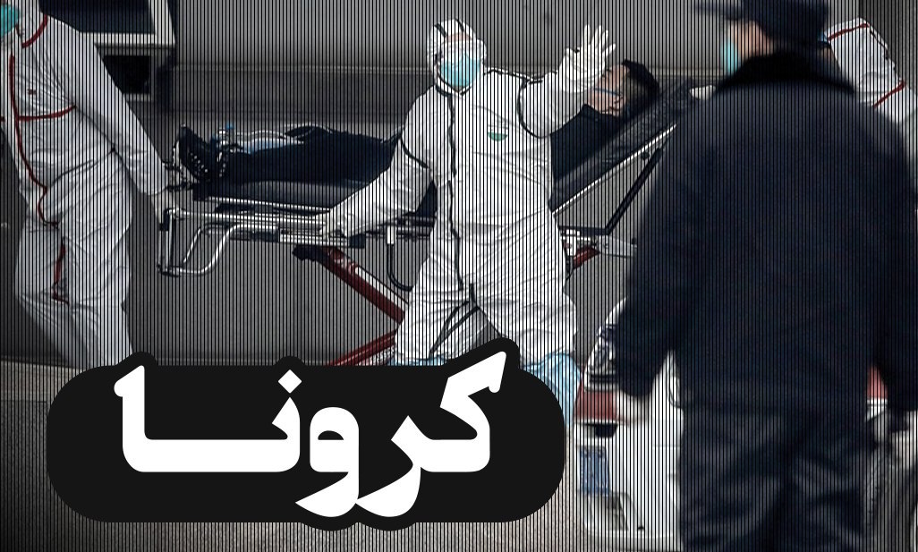 حیوانات خانگی ناقل کرونا هستند؟