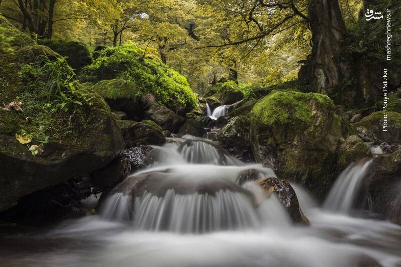 نمایی از طبیعت بکر فومن