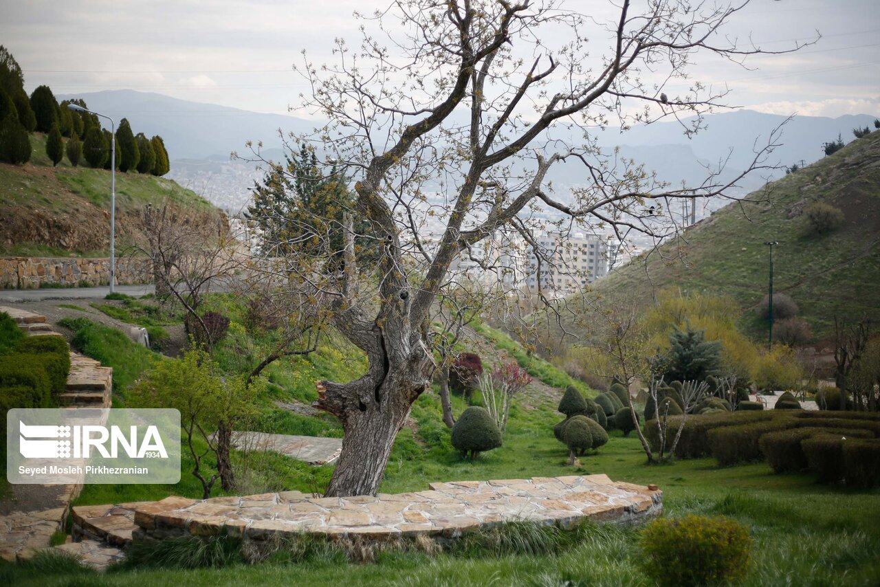 چند قاب بهاری از بوستان جنگلی آبیدر