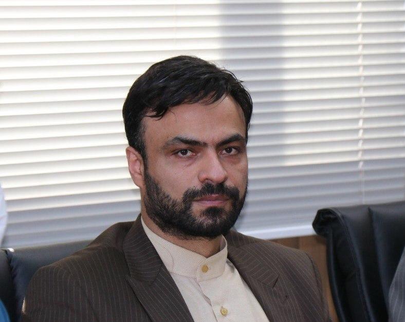 بازداشت عوامل قطع ۶ اصله درخت در مشکین‌ دشت