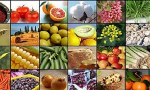 ارزآوری ۵.۸ میلیارد دلاری بخش کشاورزی و غذا در سال ۱۳۹۸