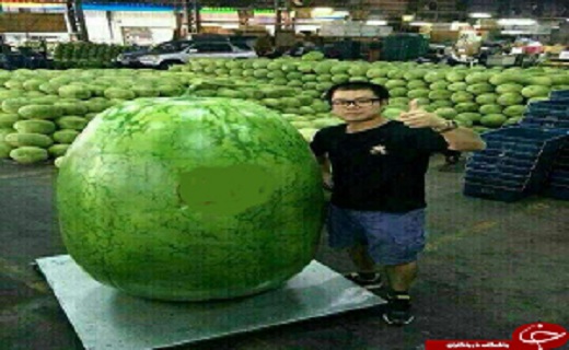 غول هایی که از بوته به عمل می آیند + تصاویر