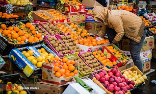 آخرین تغییرات قیمت گوجه سبز و چاغاله بادام در میادین میوه و تره بار تهران