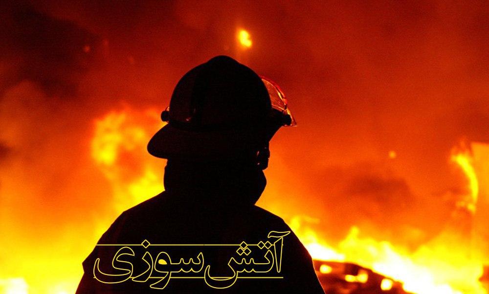 خودرو ۲۰۶ آتش گرفت