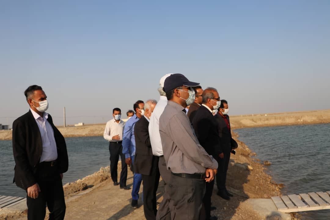 بررسی مسائل و مشکلات مزرعه داران پرورش میگو با حضور دادستان بندرعباس