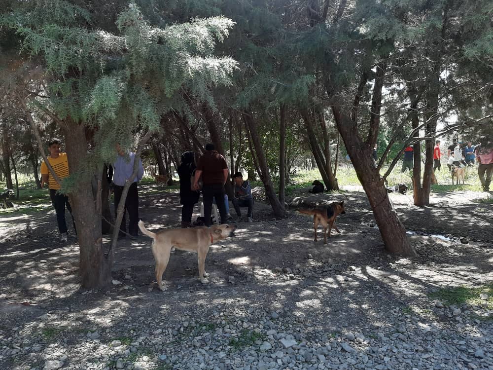 تنها بازاری که کرونا تعطیلش نکرد تنها بازاری که کرونا تعطیلش نکرد