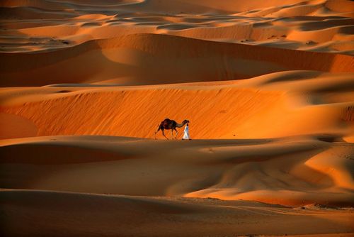 گزارش تصویری از گزارش تصویری از