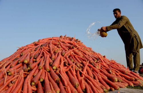 گزارش تصویری از گزارش تصویری از