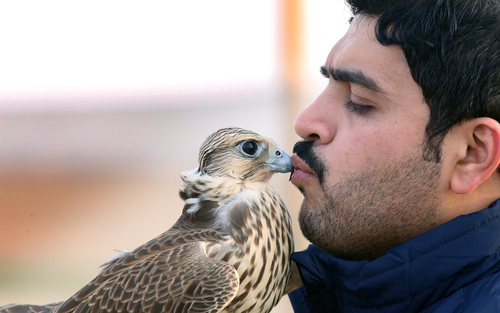 گزارش تصویری از گزارش تصویری از