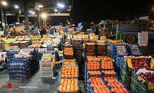 زنجبیل، سیر و لیموترش را با تخفیف ویژه در میادین میوه و تره بار تهیه کنید