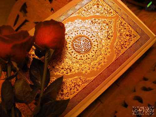 جزء پنجم قرآن کریم + متن و ترجمه